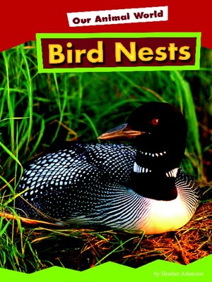 cover image of Bird Nests